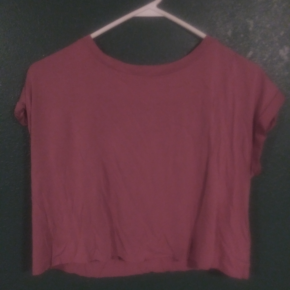Double Zero Size Small Rose Colored Crop Short Sleeve
